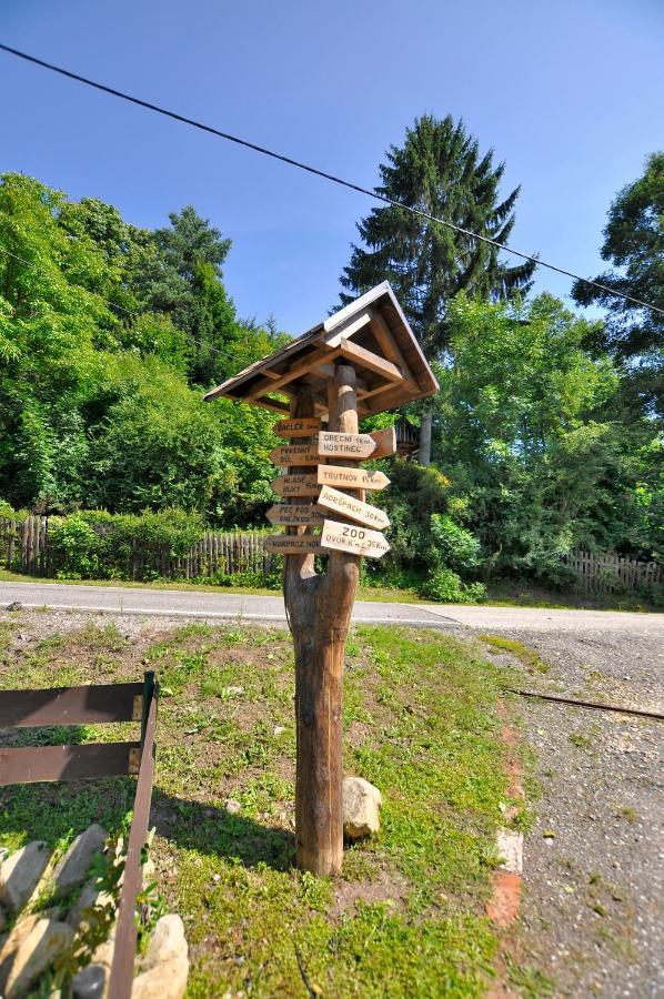 Ubytovani U Krakonose Villa Lampertice Exterior foto